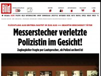 Bild zum Artikel: 2015 eingereist - Flensburg-Messerstecher war ein Flüchtling