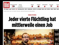 Bild zum Artikel: Neue Studie - Jeder vierte Flüchtling hat mittlerweile einen Job