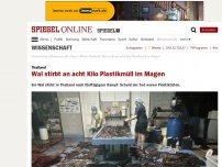 Bild zum Artikel: Thailand: Wal stirbt an acht Kilo Plastikmüll im Magen