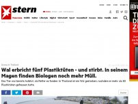 Bild zum Artikel: Drama in Thailand: Wal erbricht fünf Plastiktüten - und stirbt. In seinem Magen finden Biologen noch mehr Müll.