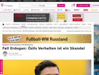 Bild zum Artikel: Fall Erdogan: Özils Verhalten ist ein Skandal