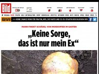 Bild zum Artikel: Schädel in Garten entdeckt - „Keine Sorge, das ist nur mein Ex“