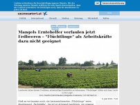 Bild zum Artikel: Mangels Erntehelfer verfaulen jetzt Erdbeeren – 'Flüchtlinge' als Arbeitskräfte dazu  nicht geeignet