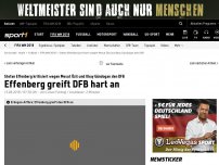 Bild zum Artikel: Effenberg: 'DFB hätte Özil und Gündogan rauswerfen müssen'