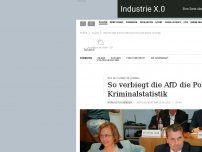 Bild zum Artikel: Wie die Sonne im Himmel: So verbiegt die AfD die Polizeiliche Kriminalstatistik