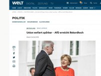 Bild zum Artikel: Union verliert spürbar - AfD erreicht Rekordhoch