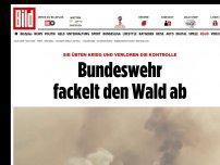 Bild zum Artikel: Beim Krieg üben - Bundeswehr fackelt den Wald ab