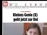 Bild zum Artikel: IQ-Test gesprengt! - Kleines Genie (8) geht jetzt zur Uni