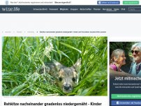 Bild zum Artikel: Rehkitze nacheinander gnadenlos niedergemäht - Kinder und Tierschützer mussten hilflos zusehen