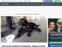 Bild zum Artikel: Hund auf der Autobahn A 24 gefunden - Besitzer vermisst - Wer kann helfen?