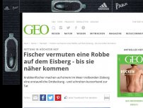 Bild zum Artikel: Fischer vermuten eine Robbe auf dem Eisberg - bis sie näher kommen