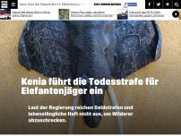 Bild zum Artikel: Kenia führt die Todesstrafe für Elefantenjäger ein