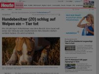 Bild zum Artikel: Tierquälerei: Hundebesitzer (20) schlug auf Welpen ein – Tier ist tot