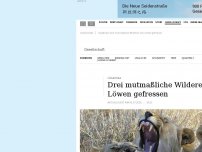 Bild zum Artikel: Südafrika: Drei mutmaßliche Wilderer von Löwen gefressen