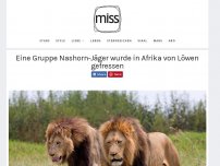 Bild zum Artikel: Eine Gruppe Nashorn-Jäger wurde in Afrika von Löwen gefressen