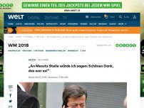 Bild zum Artikel: „An Mesuts Stelle würde ich sagen: Schönen Dank, das war es!“