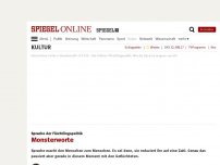 Bild zum Artikel: Sprache der Flüchtlingspolitik: Monsterworte