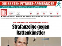 Bild zum Artikel: Tierwürde verletzt? - Strafanzeige gegen Rattenkünstler