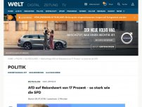 Bild zum Artikel: AfD auf Rekordwert von 17 Prozent – so stark wie die SPD