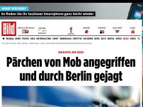 Bild zum Artikel: Nachts am Zoo - Gewalttätiger Mob jagt Pärchen durch Berlin