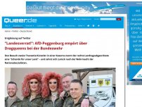 Bild zum Artikel: 'Landesverrat!': AfD-Poggenburg empört über Dragqueens bei der Bundeswehr