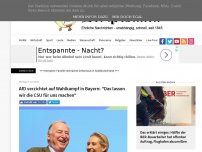 Bild zum Artikel: AfD verzichtet auf Wahlkampf in Bayern: 'Das lassen wir die CSU für uns machen'