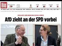 Bild zum Artikel: EXKLUSIV-Umfrage - AfD- Hammer!