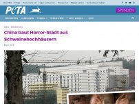 Bild zum Artikel: China baut Horror-Stadt aus Schweinehochhäusern