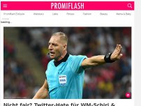 Bild zum Artikel: Nicht fair? Twitter-Hate für WM-Schiri & Sieger Frankreich!