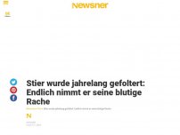 Bild zum Artikel: Stier wurde jahrelang gefoltert: Endlich nimmt er seine blutige Rache