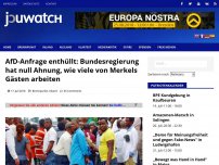 Bild zum Artikel: AfD-Anfrage enthüllt: Bundesregierung hat null Ahnung, wie viele von Merkels Gästen arbeiten