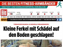 Bild zum Artikel: Tierquäler-Video - Kleine Ferkel mit Schädel auf den Boden geschlagen!