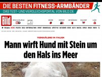 Bild zum Artikel: Tierquälerei in Italien - Mann wirft Hund mit Stein um den Hals ins Meer
