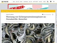 Bild zum Artikel: Festival in Weeze: Warnung vor Eichenporzessionsspinner an Parookaville-Besucher