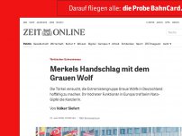 Bild zum Artikel: Türkischer Extremismus: Merkels Handschlag mit dem Grauen Wolf