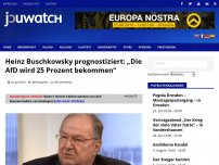 Bild zum Artikel: Heinz Buschkowsky prognostiziert: „Die AfD wird 25 Prozent bekommen“