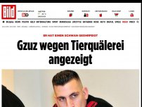 Bild zum Artikel: Schwan geohrfeigt - Rap-Star Gzuz wegen Tierquälerei angezeigt