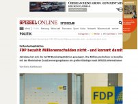 Bild zum Artikel: Ex-Bundestagsfraktion: FDP bezahlt Millionenschulden nicht - und kommt damit durch