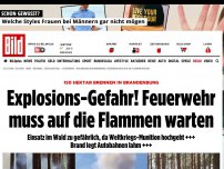 Bild zum Artikel: Horror-Hitze - 40-Hektar-Brand auf Ex-Truppenübungsplatz