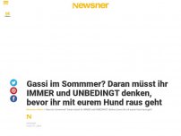 Bild zum Artikel: Gassi im Sommmer? Daran müsst ihr IMMER und UNBEDINGT denken, bevor ihr mit eurem Hund raus geht