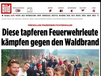 Bild zum Artikel: Brandenburg - Diese Feuerwehrleute bekämpfen den Waldbrand