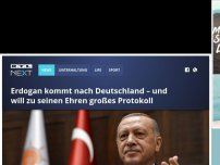 Bild zum Artikel: Erdogan kommt nach Deutschland – und will zu seinen Ehren großes Protokoll
