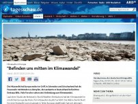 Bild zum Artikel: Hitzewelle in Europa: Hitzewelle in Europa