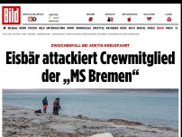 Bild zum Artikel: „MS Bremen'-Kreuzfahrt - Eisbär-Attacke auf Crew-Mitglied
