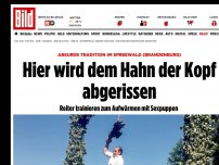 Bild zum Artikel: Absurde Tradition - Hier wird dem Hahn der Kopf abgerissen