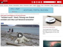 Bild zum Artikel: Eisbär greift Crew-Mitglied an und wird erschossen - 'Menschen haben dort nichts zu suchen. Schämt euch'