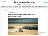 Bild zum Artikel: Dürre: Bauernverband fordert eine Milliarde Euro wegen Ernteausfällen