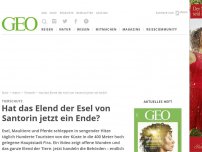 Bild zum Artikel: Erfolg für den Tierschutz: Hat das Elend der Esel von Santorin jetzt ein Ende?