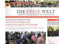 Bild zum Artikel: Ab morgen beginnt der Familiennachzug für »Flüchtlinge«