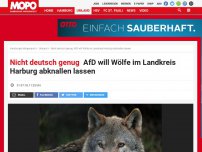 Bild zum Artikel: Nicht deutsch genug: AfD will Wölfe im Landkreis Harburg abknallen lassen